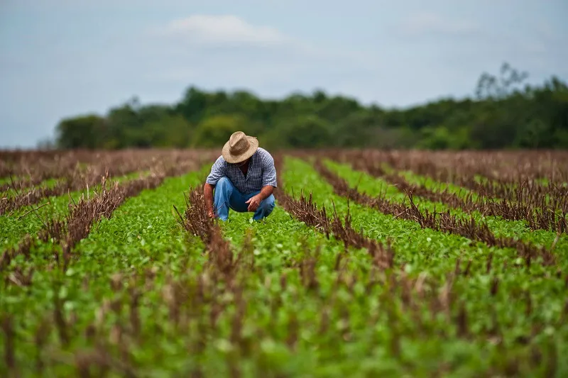 agricultura_en_México