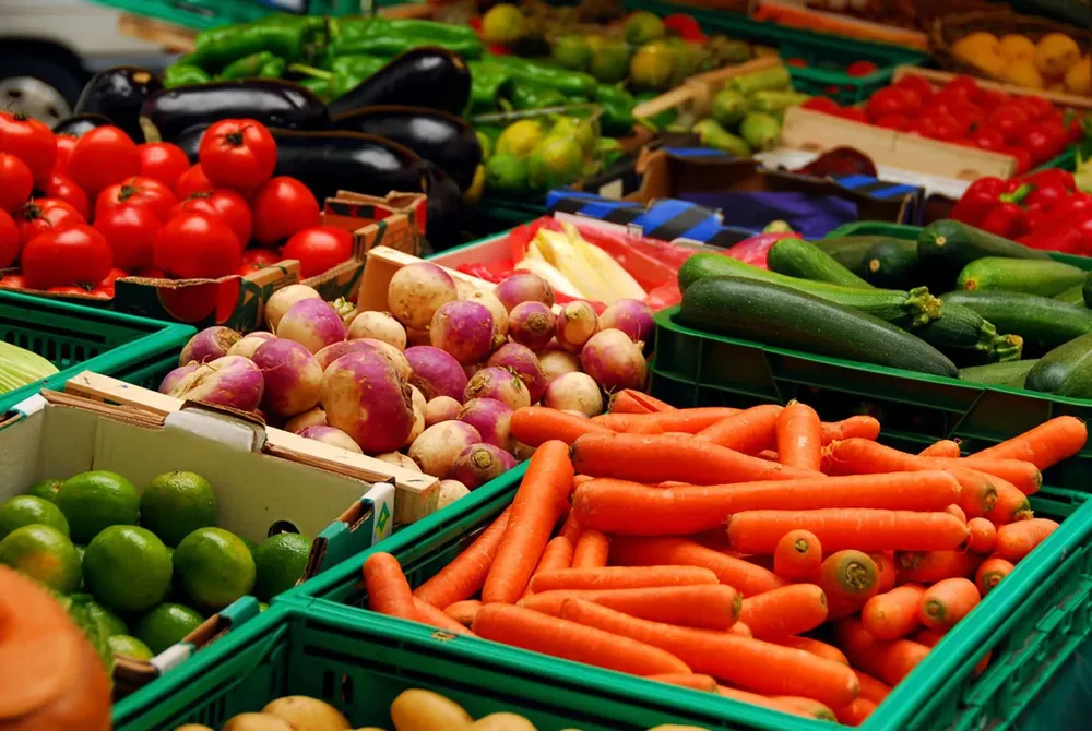 agricultura-de-exportacion