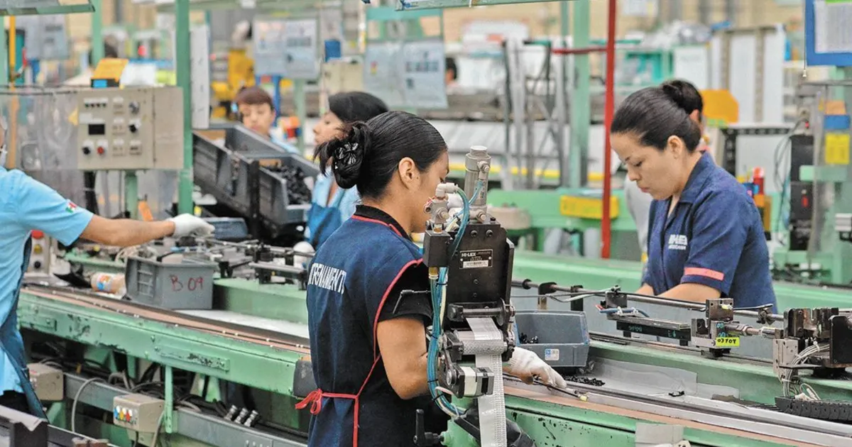 manufactura_ee_archivo.png_673822677