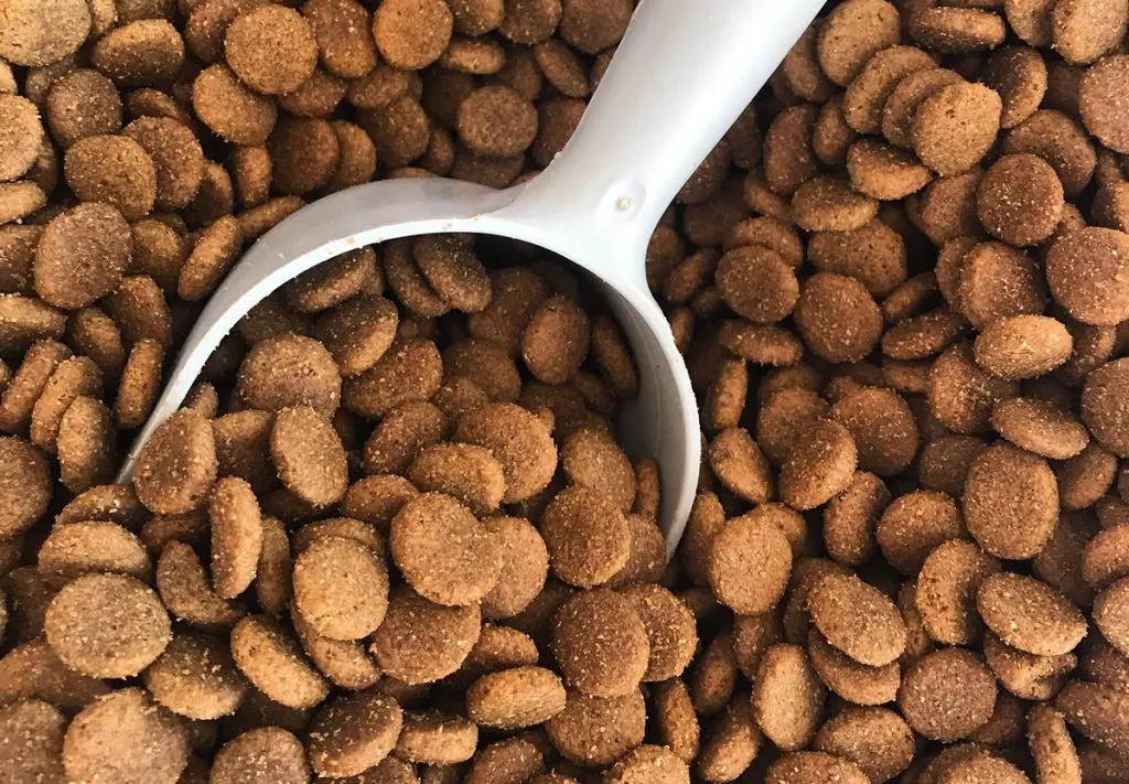 dry-dog-food-kibble-with-a-gray-scoop-feeding-pe-2021-09-01-13-45-00-utc-1024x711