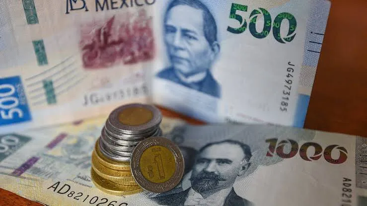 C73204E2-6858-408B-8988-FE924B4F6B2E