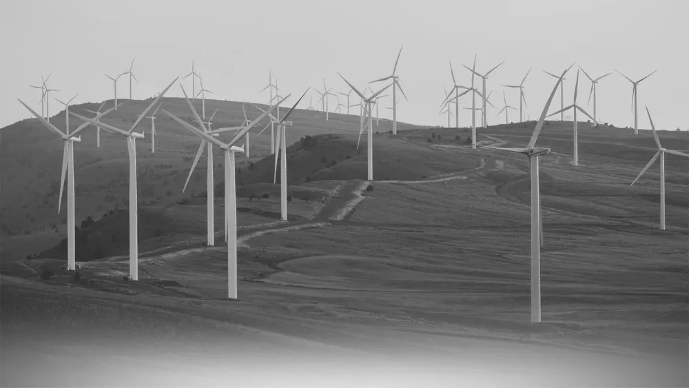 COLUMNASUSTENTABILIDAD